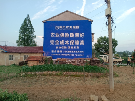 色达墙体广告为何受追捧？